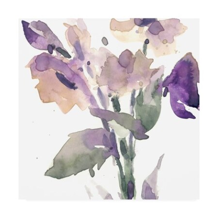 Trademark Fine Art Samuel Dixon 'Garden Blooms II' Canvas Art, 24x24 WAG16579-C2424GG